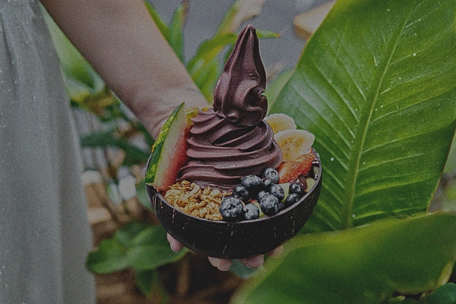 Acai Life Background
